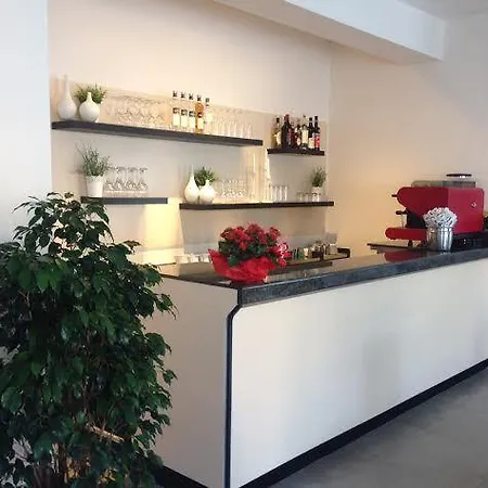 瑞赛登扎花园酒店 酒店 托斯科拉诺-马德尔诺