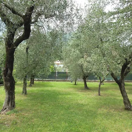 瑞赛登扎花园酒店 酒店 托斯科拉诺-马德尔诺